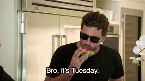 10 Funny Tuesday Gifs To Start Your Day With Humor - picture 8