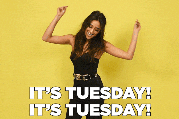 10 Funny Tuesday Gifs To Start Your Day With Humor - picture 9