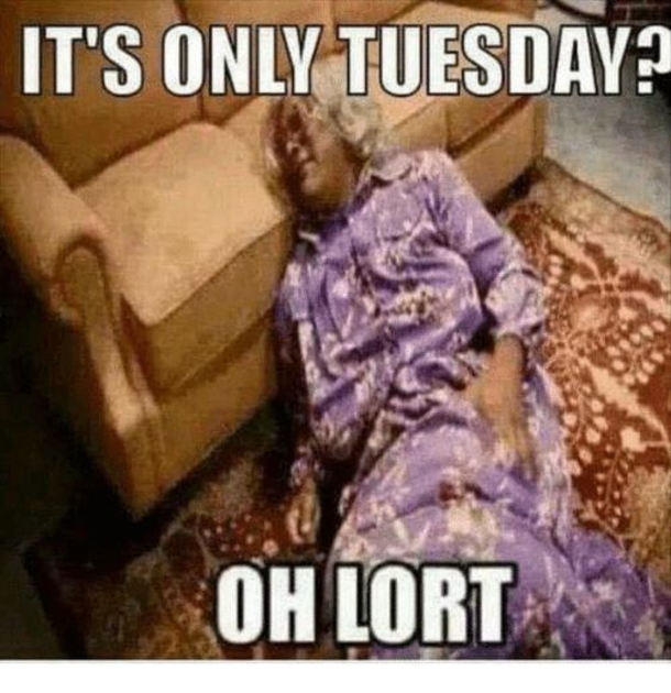 10 Funny Tuesday Memes To Share - picture 11