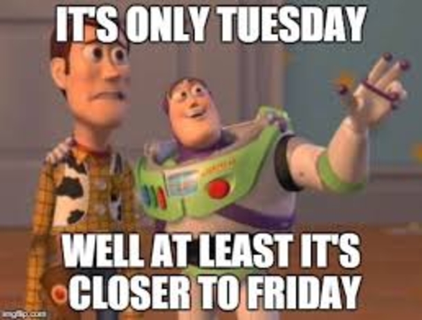 10 Funny Tuesday Memes To Share - picture 3