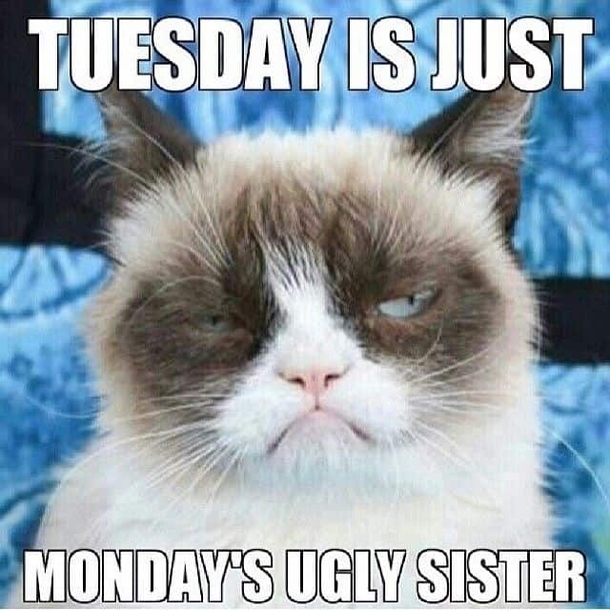10 Funny Tuesday Memes To Share - picture 8