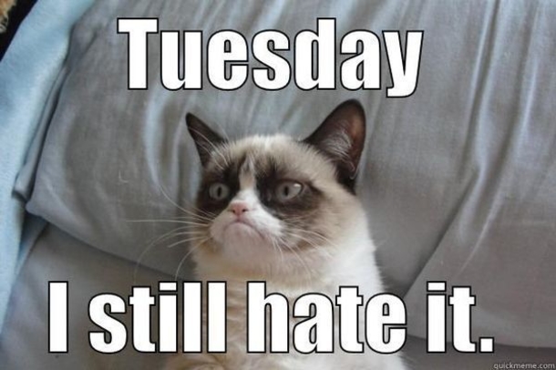 10 Funny Tuesday Memes To Share - picture 9