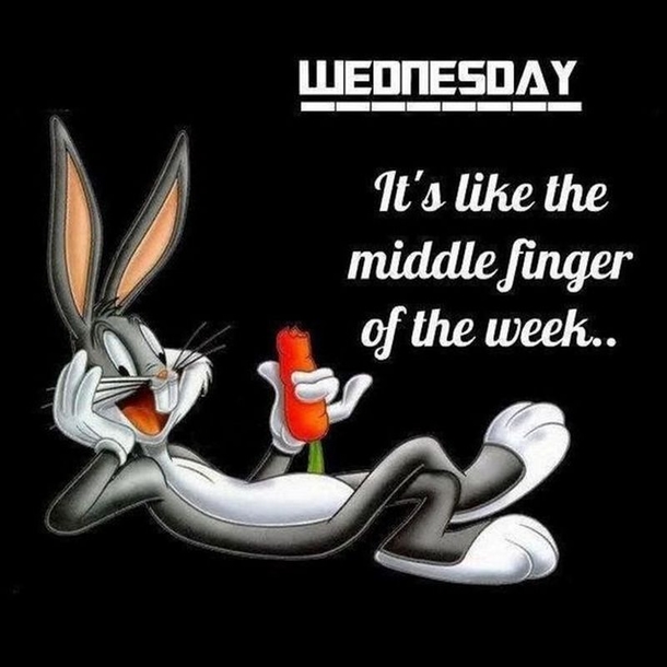 10 Funny Wednesday Memes To Help You Get Through The Day - picture 10