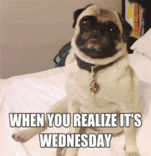 10 Funny Wednesday Memes To Help You Get Through The Day - picture 8
