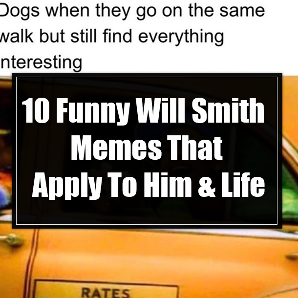 10 Funny Will Smith Memes That Apply To Him & Life