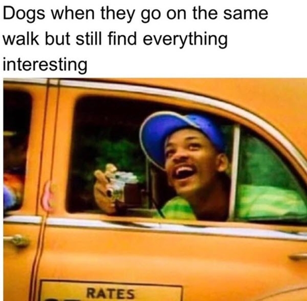 10 Funny Will Smith Memes That Apply To Him & Life - picture 2