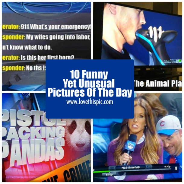 10 Funny Yet Unusual Pictures Of The Day