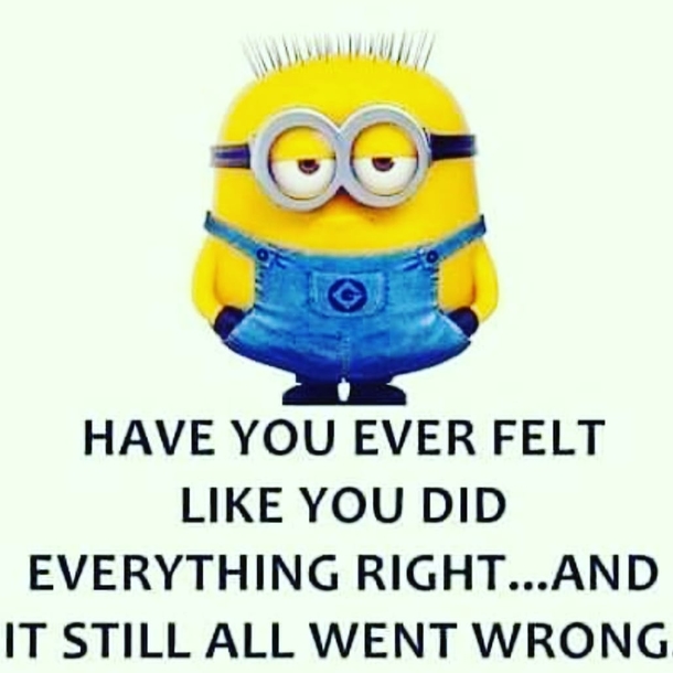 10 Funny & Life Minion Quotes, Sayings And Images - picture 10