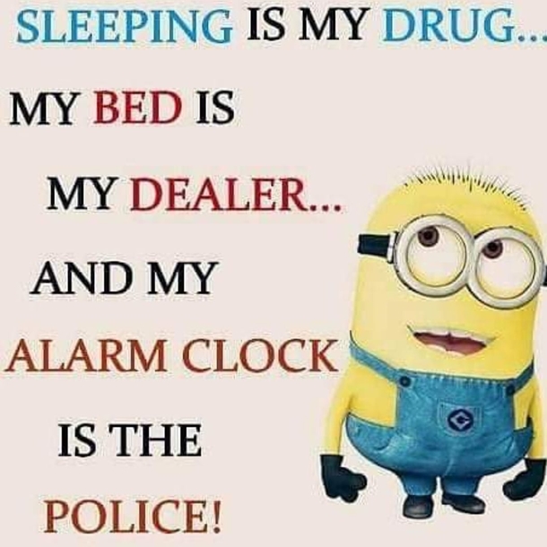 10 Funny & Life Minion Quotes, Sayings And Images - picture 2