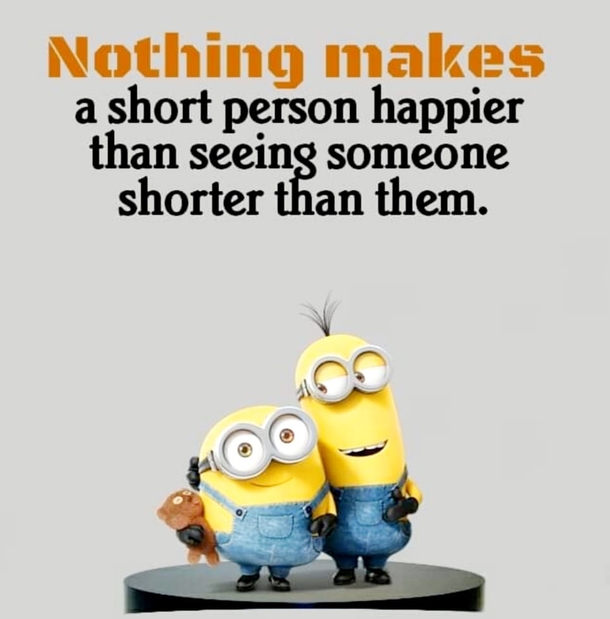 10 Funny & Life Minion Quotes, Sayings And Images - picture 4