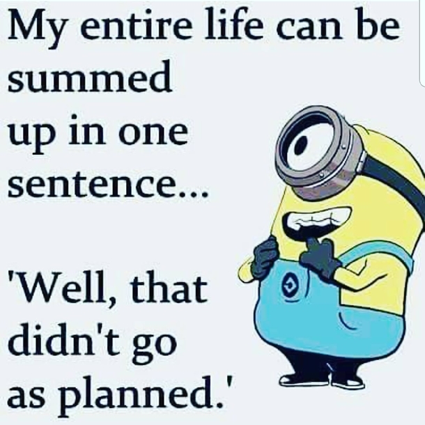 10 Funny & Life Minion Quotes, Sayings And Images - picture 9