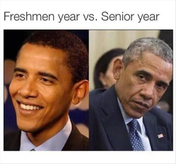 10 Funny & Random Memes To Help Add A Little Humor To Your Day - picture 10