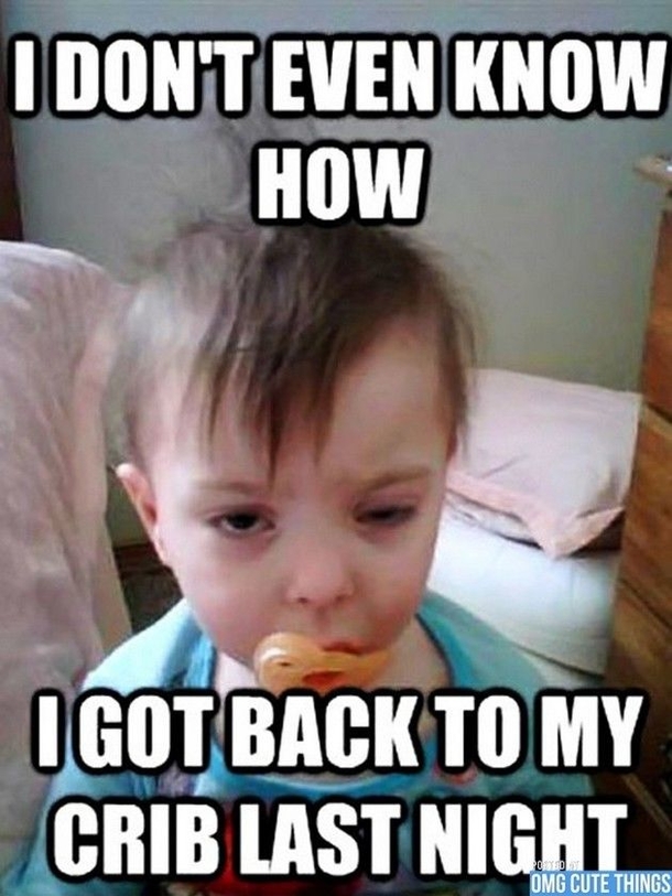 10 Funny & Random Memes To Help Add A Little Humor To Your Day - picture 6