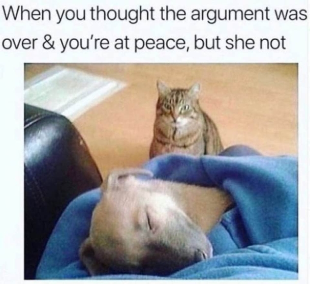 10 Funny & Real Quotes For Couples In Love - picture 11
