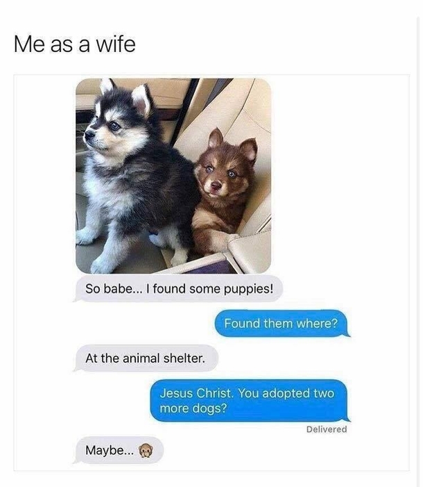 10 Funny & Real Quotes For Couples In Love - picture 4