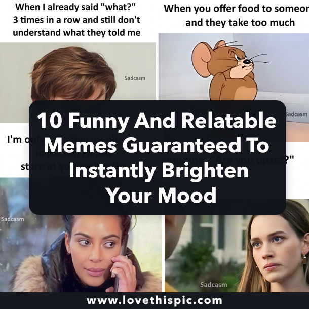 10 Funny & Relatable Memes Guaranteed To Instantly Brighten Your Mood