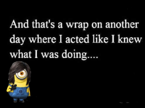 10 Funny & Silly Minion Quote Pictures - picture 5