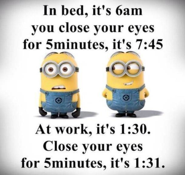 10 Funny & Silly Minion Quote Pictures - picture 6