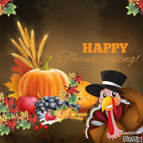 10 Gifs For Thanksgiving To Share On Social Media - picture 4