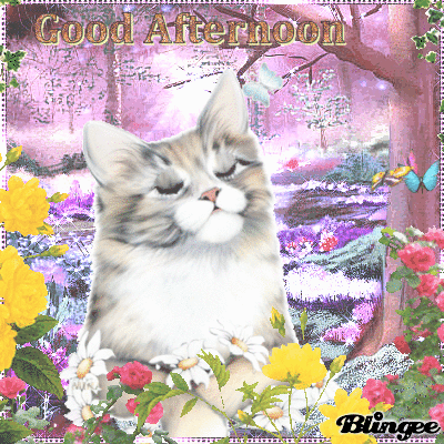 10 Gifs To Help You Enjoy A Good Afternoon - picture 4