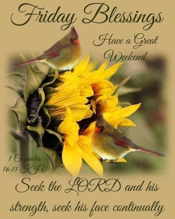 10 Glorious Friday Quotes And Sayings To Love - picture 11