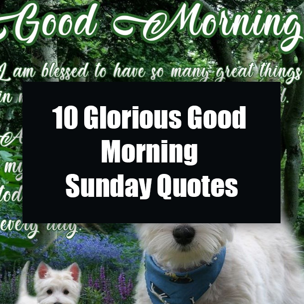 10 Glorious Good Morning Sunday Quotes