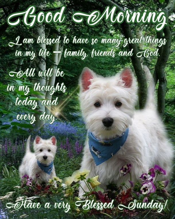 10 Glorious Good Morning Sunday Quotes - picture 10