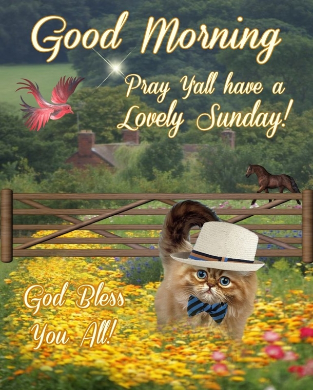 10 Glorious Good Morning Sunday Quotes - picture 11