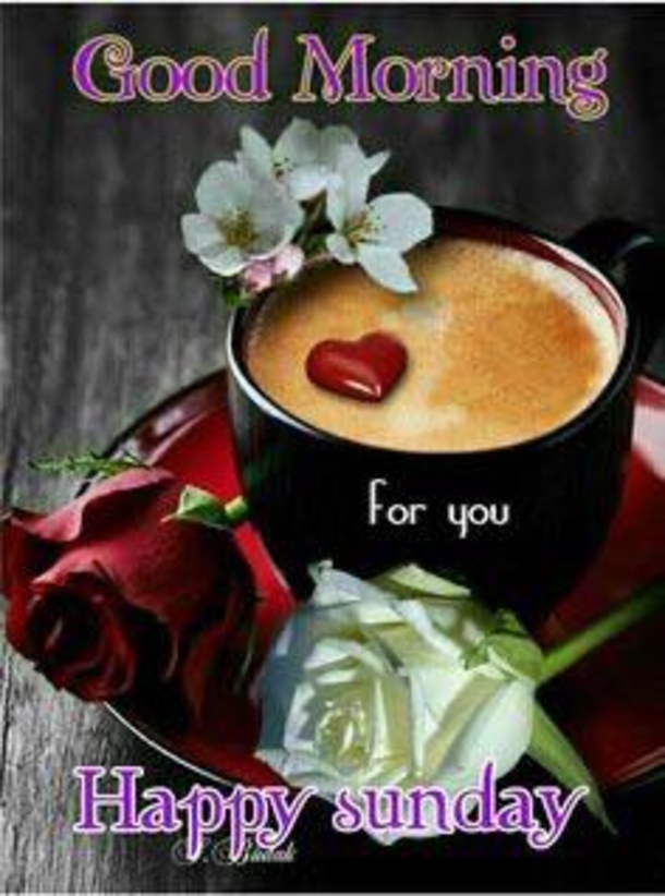 10 Glorious Good Morning Sunday Quotes - picture 7