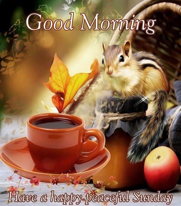 10 Glorious Good Morning Sunday Quotes - picture 8