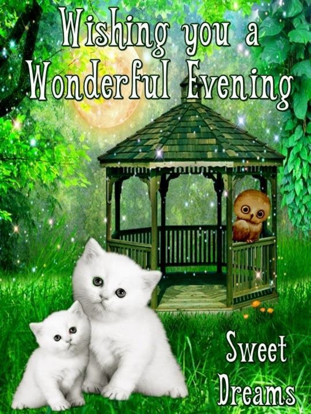 10 Good Evening 2022 Quotes And Wishes - picture 11
