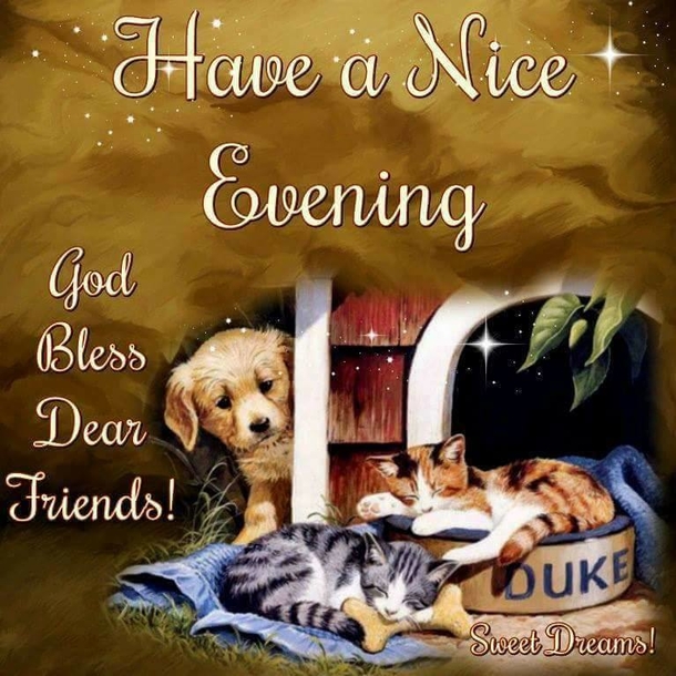 10 Good Evening 2022 Quotes And Wishes - picture 3