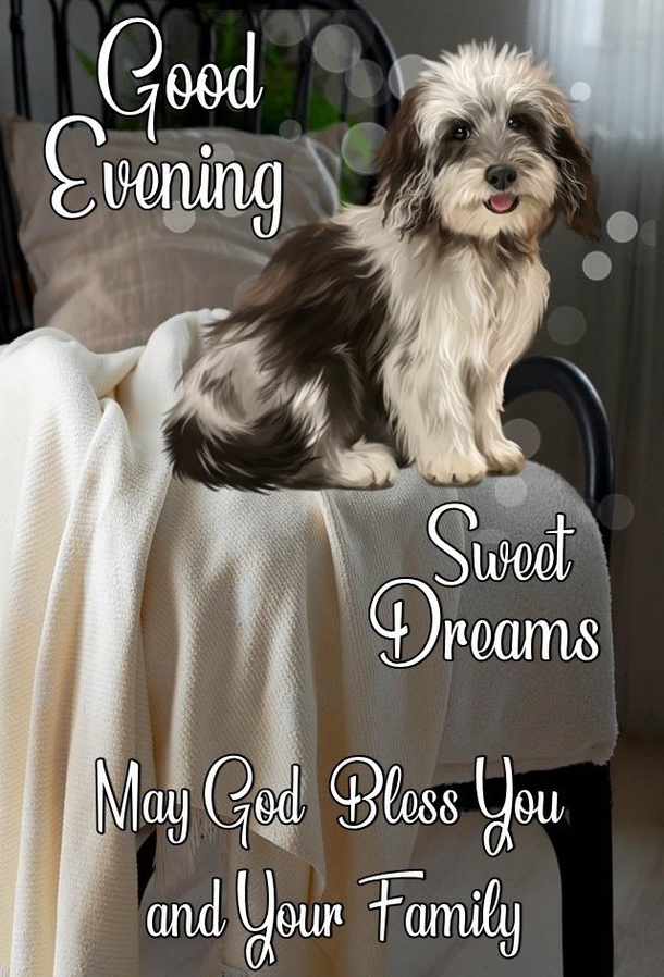 10 Good Evening 2022 Quotes And Wishes - picture 5