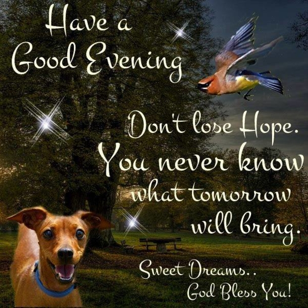 10 Good Evening 2022 Quotes And Wishes - picture 8