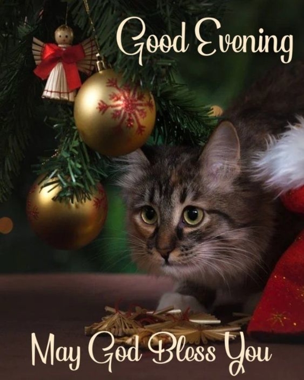 10 Good Evening Messages For A Loving Night - picture 10