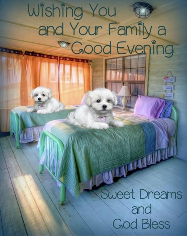 10 Good Evening Messages For A Loving Night - picture 11