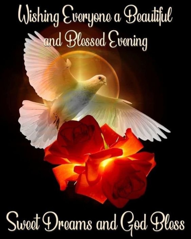 10 Good Evening Messages For A Loving Night - picture 4