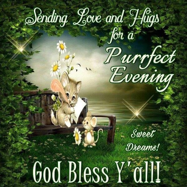 10 Good Evening Messages For A Loving Night - picture 5