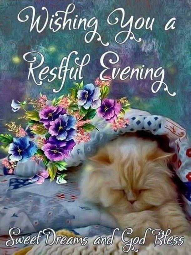 10 Good Evening Messages For A Loving Night - picture 7