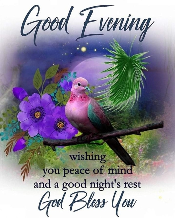 10 Good Evening Messages For A Loving Night - picture 9