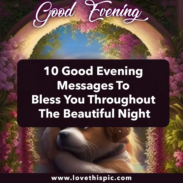 10 Good Evening Messages To Bless You Throughout The Beautiful Night