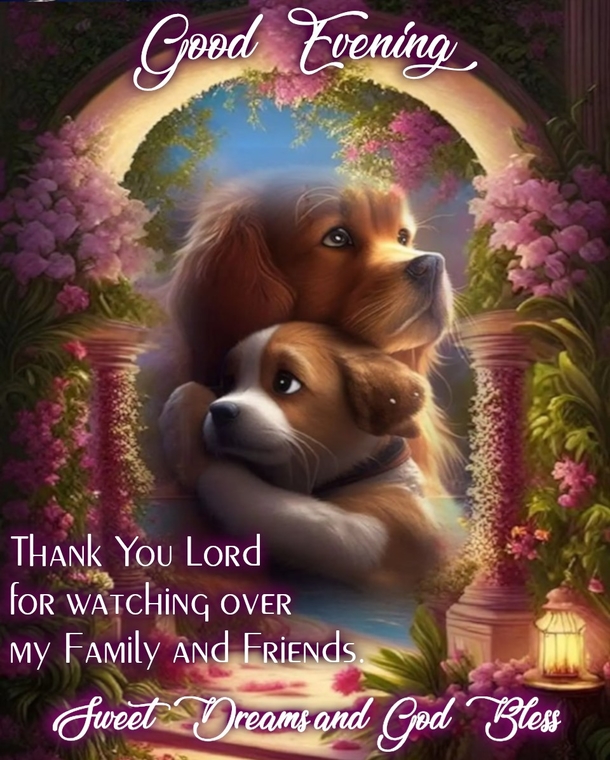 10 Good Evening Messages To Bless You Throughout The Beautiful Night - picture 3