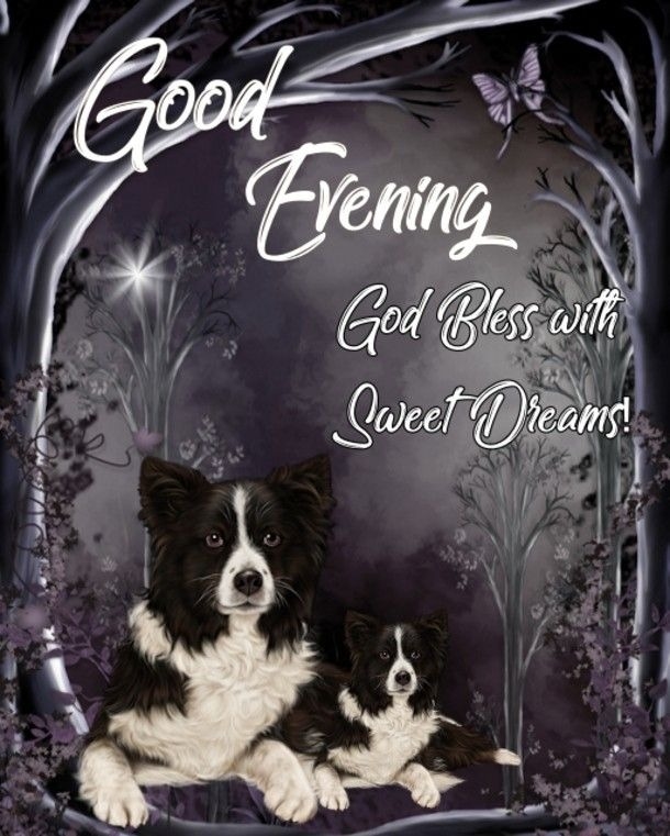 10 Good Evening Messages To Bless You Throughout The Beautiful Night - picture 4