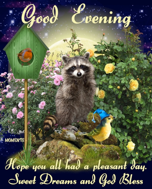 10 Good Evening Messages To Bless You Throughout The Beautiful Night - picture 6