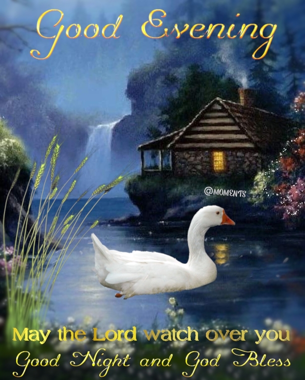 10 Good Evening Messages To Bless You Throughout The Beautiful Night - picture 7