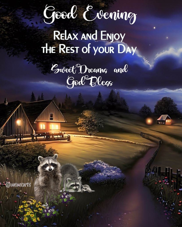 10 Good Evening Messages To Bless You Throughout The Beautiful Night - picture 9