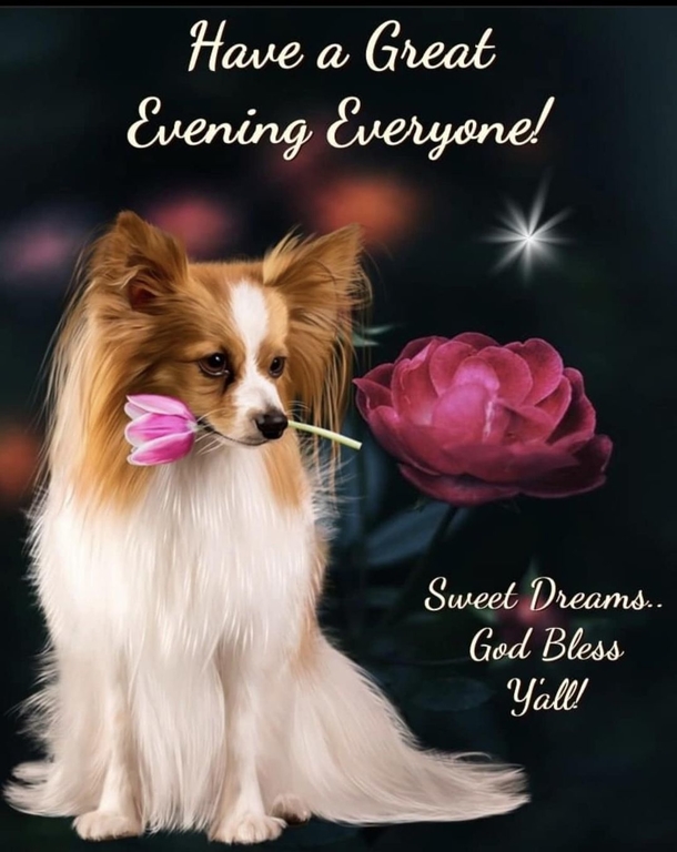 10 Good Evening Quotes, Greetings And Sayings To Touch The Soul - picture 10