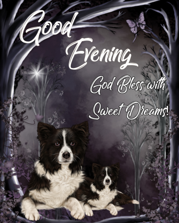 10 Good Evening Quotes To Bless Your Night Daily - picture 11