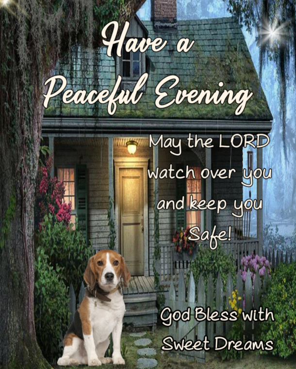 10 Good Evening Quotes To Bless Your Night Daily - picture 2