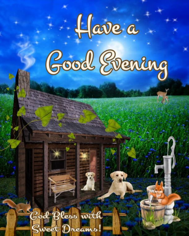 10 Good Evening Quotes To Bless Your Night Daily - picture 5